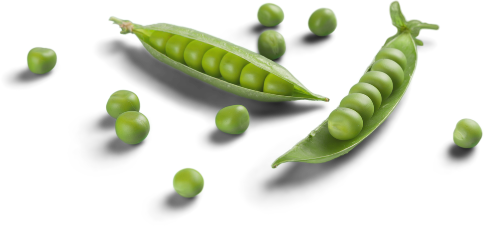 Green Peas in Pods