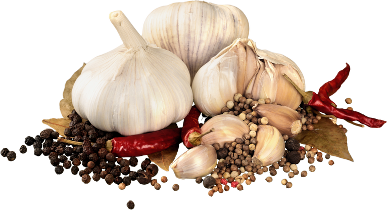 Garlic with Other Spices - Isolated